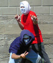 Noctournal Assassins